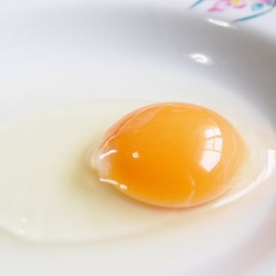 生たまご(ביצה)さんのプロフィール画像