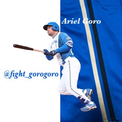 fight_gorogoro Profile Picture