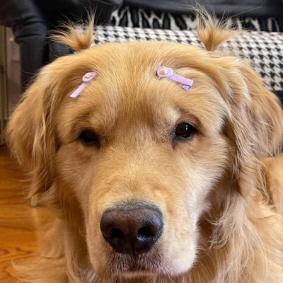 mildwong25's profile picture. ⭕️