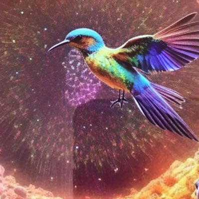 SKalofonos's profile picture. Por una Colombia en Paz y con justicia social ,respeto y protección de la naturaleza toda.