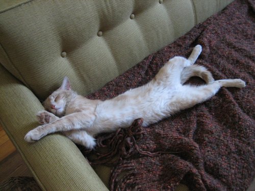 Kgillenw's profile picture. I love art, music, good food & beer, walks on the beach... oops, wrong bio.  Follow my art feed @artwhatart