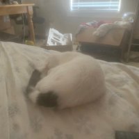 CryptoTrader (@cryptolurkerguy) 's Twitter Profile