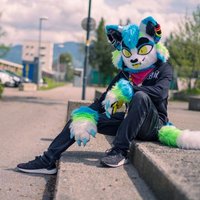 Jaro (@jaro_cat) 's Twitter Profile