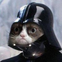 Darth VladSven the Cat VI(@TheVladsven) 's Twitter Profile Photo