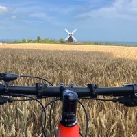 Debbie Thompson (@detom48) 's Twitter Profile