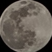 bulan (@nomadenwrt) 's Twitter Profile