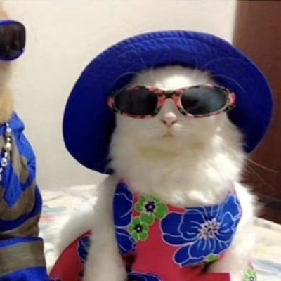 🇸🇬
ʕ•́ᴥ•̀ʔっ♡