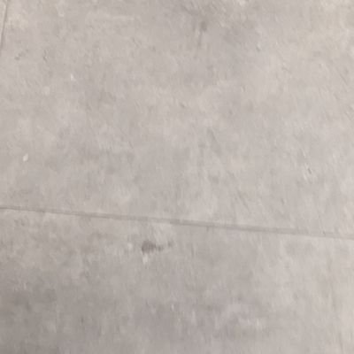 vvladski's profile picture. Not living on X