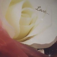 Ruura (@milieu_dun_reve) 's Twitter Profile Photo Ruura (@milieu_dun_reve) 's Twitter Profile Photo