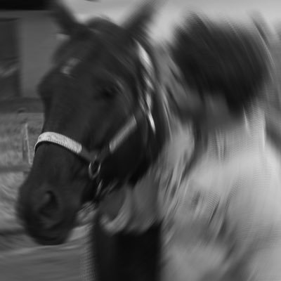 cx8rp's profile picture. وشلون ما افرح في حضورك وألبيه؟ وأنت المكان الي تجيه يتبارك