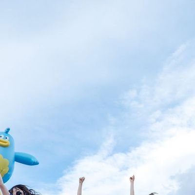 risottometa's profile picture. 