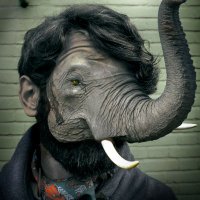 Mim Rasouli (@mimrasouli) 's Twitter Profile Photo