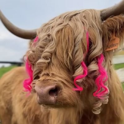 AbhinavFan4ever's profile picture. 