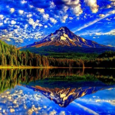 Shoaibmisc1's profile picture. 