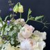 The Accidental Flower Farmer (@seadian_patch) Twitter profile photo The Accidental Flower Farmer (@seadian_patch) Twitter profile photo