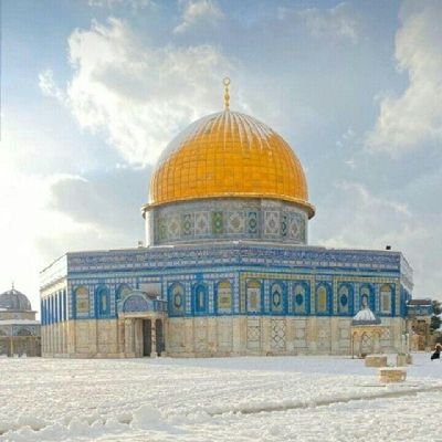 bilalakgul02's profile picture. Sîret âfete kalkandır. (Âşık Paşa )