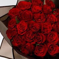 جـمــيلــه (@jamela_522) 's Twitter Profile