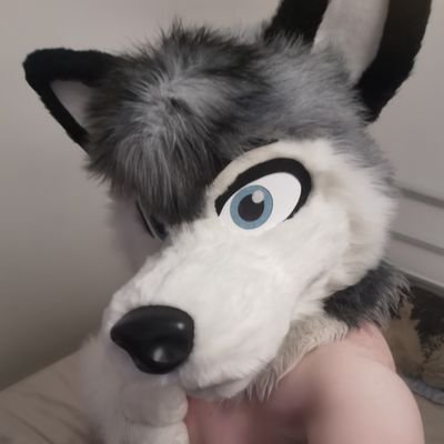 AD account of some Husky | UK | 30 | Taken | NSFW ~ if you'd like to follow me, please state in bio that you're 18+
