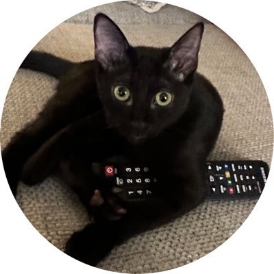 Usher The Cat Profile