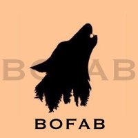 THEBOFABDAO 🐺(@Bofab_Dao) 's Twitter Profile Photo