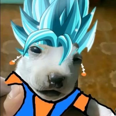 Ribet141627's profile picture. 