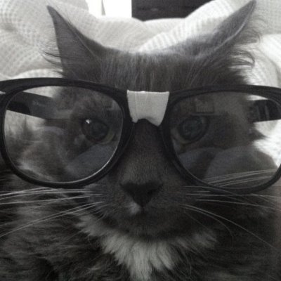 2taipei's profile picture. @5tor