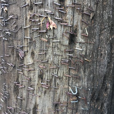 sql_cindy's profile picture. Proud mom of @jacksonbakovich. Data geek.