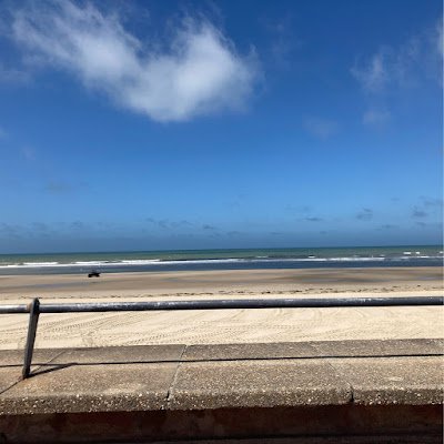 Michaelbet85457's profile picture. 