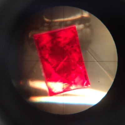 dr_CJM's profile picture. 