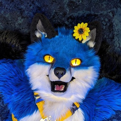 Just a shy blue fox trying his best | 33 M Pan He/him | 💙: @valdezWOOF@meow.social | 💉Vaccinated💉| 🧵@SarahcatFursuit