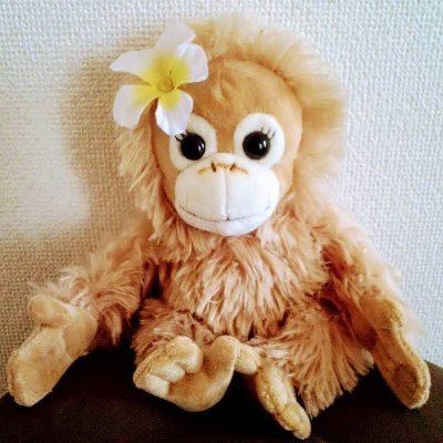 Chobi_JioBao213's profile picture. ☆ちょび☆AB型
愛しの甥っ子(16)に伯母を逆さに呼ばせた☆ばぉ
Ｒ６.春～両親と同居し６g🧂/日の #アルモンデ🍚を目指すアラ還女の備忘録✎ᝰꪑ
『人生はジグソーパズル』どんな出来事も物語の１piece🧩✨
JUJU👠FAM＆CLUB💕
🍦友の会 No.109
サブ垢▶@21_Chobi24_26