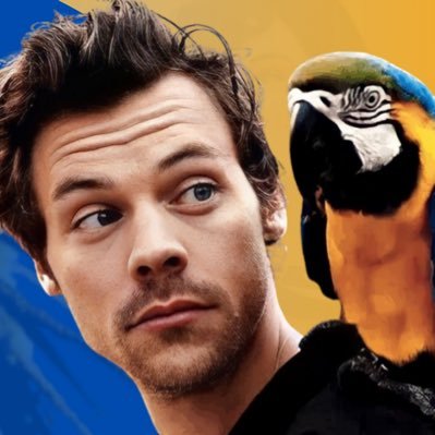 Sua mais completa e engajada fonte brasileira de atualizações sobre o cantor, compositor e ator Harry Styles. | Fan Account.