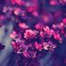 Loops (@nadhashik69989) Twitter profile photo Loops (@nadhashik69989) Twitter profile photo