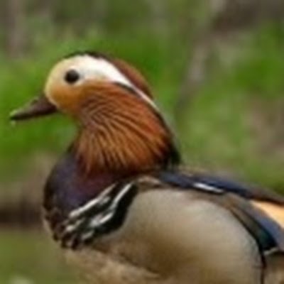 luisQui87583773's profile picture.