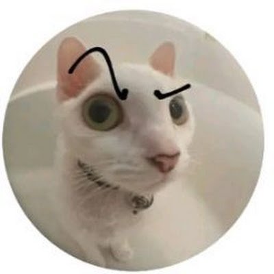 SalesBonet's profile picture. 