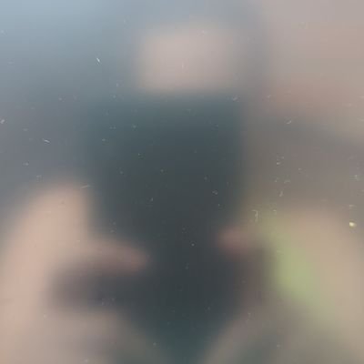 Lauさんのプロフィール画像