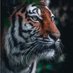 Ernesto Martinez (@ram28914967juan) Twitter profile photo Ernesto Martinez (@ram28914967juan) Twitter profile photo