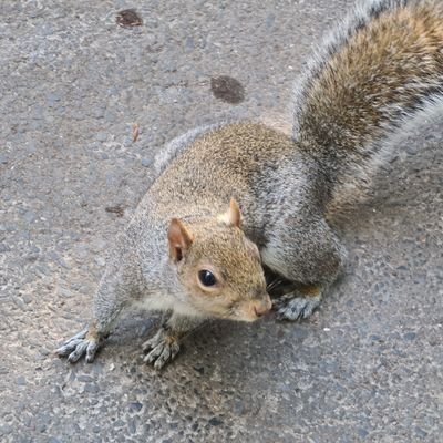 ifelayormi's profile picture. Trusting God always, looking forward and neva backward.