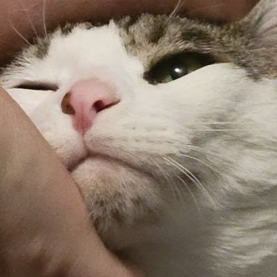 M450NF0XX's profile picture. I remember to tweet, sometimes