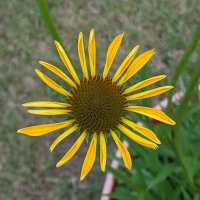 Sandra Clark (@clark1375) 's Twitter Profile