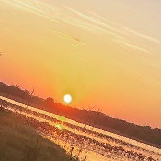 17yearsago2X's profile picture. x-away