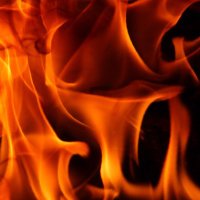 Hotrawfire (@hotrawfire) 's Twitter Profile