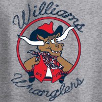 Williams Elementary (@tbwilliams_es) 's Twitter Profile