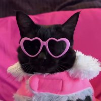 amadinha????? (@kinda_lovable) 's Twitter Profile