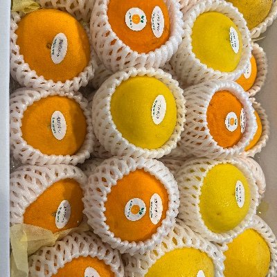 Mochita1992's profile picture. 