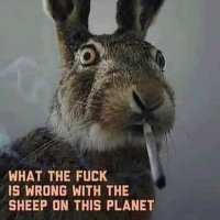 peakey Blinders (@j_o_h_n_b_o_y) 's Twitter Profile