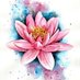 Lotus (@esquart1) Twitter profile photo Lotus (@esquart1) Twitter profile photo