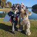 Finck Greyson 🇺🇸🇬🇧🇦🇺 (@mascotdownunder) Twitter profile photo Finck Greyson 🇺🇸🇬🇧🇦🇺 (@mascotdownunder) Twitter profile photo