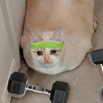 notade1reall's profile picture. Recomendo, veementemente, o distanciamento social.