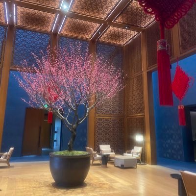 Lionfp1990's profile picture. 30‘中華圏在住。